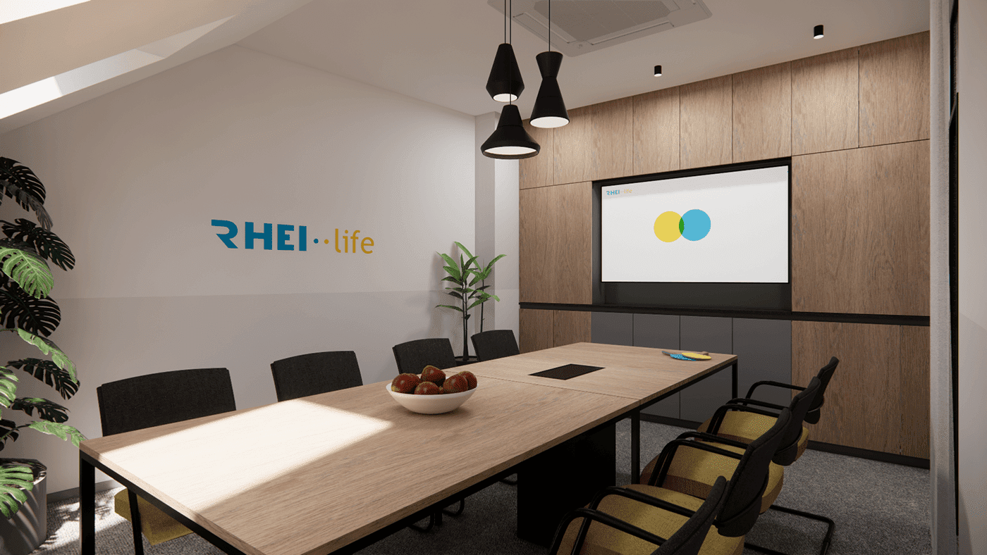 rhei-life-vrsac-office-meeting-room-12