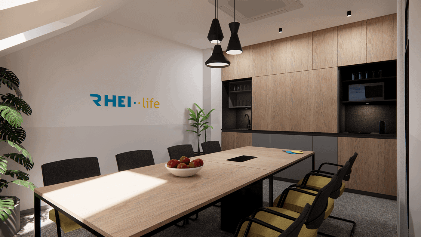 rhei-life-vrsac-office-meeting-room-13