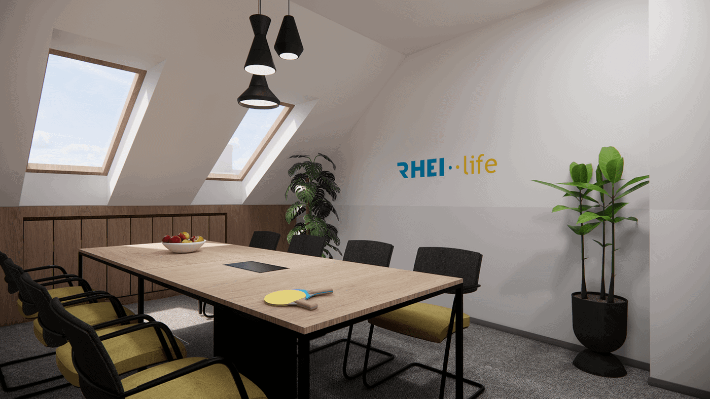 rhei-life-vrsac-office-meeting-room-14